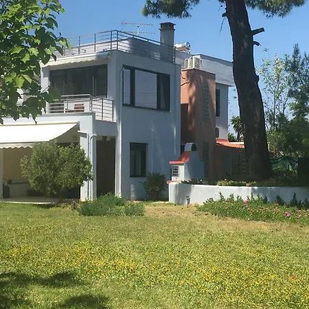 Petra Mare * 克里皮吉