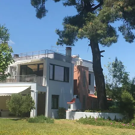 Petra Mare * 克里皮吉